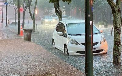Helping clients weather the storm